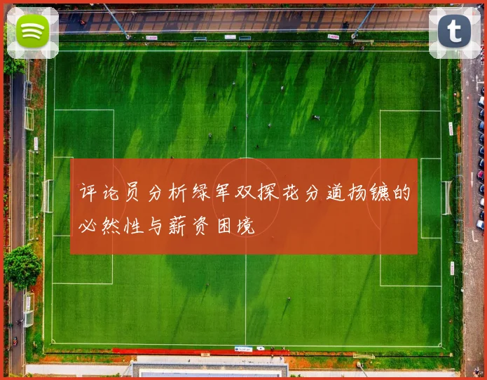评论员分析绿军双探花分道扬镳的必然性与薪资困境