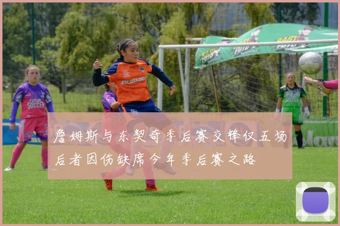 詹姆斯与东契奇季后赛交锋仅五场后者因伤缺席今年季后赛之路