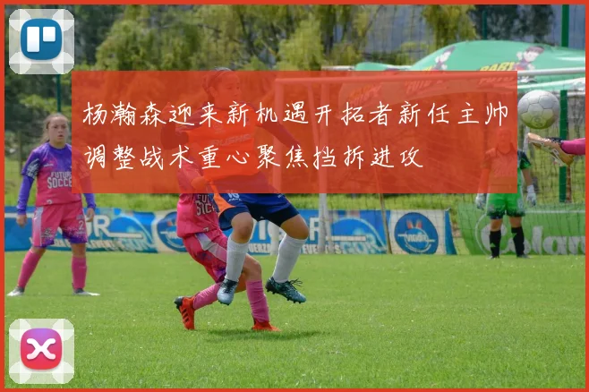 杨瀚森迎来新机遇开拓者新任主帅调整战术重心聚焦挡拆进攻
